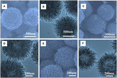 In situ Engineering of Hollow Porous Mo2C@C Nanoballs Derived From Giant Mo-Polydopamine Clusters as Highly Efficient Electrocatalysts for Hydrogen Evolution